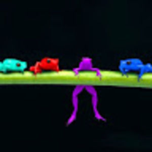 Meet your Posher, Amber